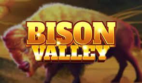 Bison Valley